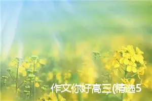 作文你好高三(精选5篇)