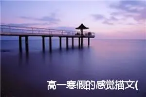 高一寒假的感觉描文(精选5篇)