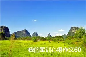 我的军训心得作文600字左右(精选5篇)