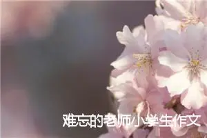 难忘的老师小学生作文600字(精选5篇)