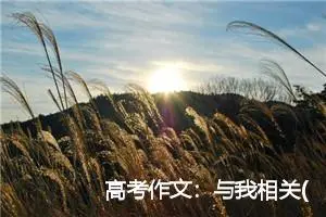 高考作文：与我相关(精选1篇)