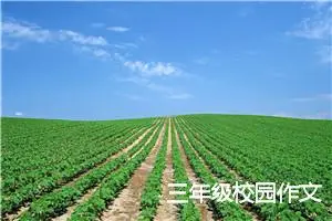 三年级校园作文