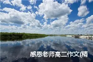 感恩老师高二作文(精选5篇)