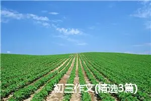 初三作文(精选3篇)