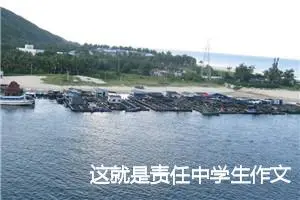 这就是责任中学生作文600字(精选5篇)