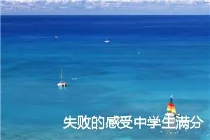 失败的感受中学生满分作文(精选5篇)