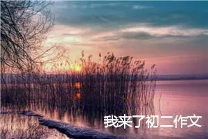 我来了初二作文