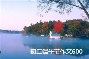 初二端午节作文600字(精选5篇)