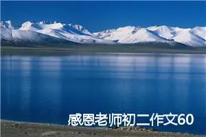 感恩老师初二作文600字