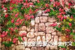 伟大的母爱小学生作文(精选5篇)