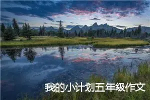 我的小计划五年级作文