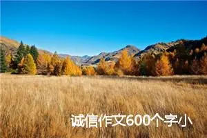 诚信作文600个字小学三年级(精选5篇)