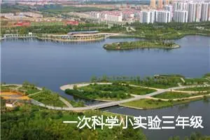 一次科学小实验三年级作文(精选5篇)